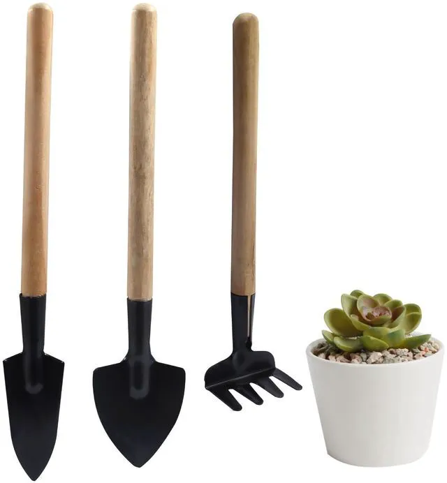 Main image of 3 Pcs Mini Garden Tools Set, Iron Kit Including Miniature Gardening Rake Trowel and Shovel for Succulent/Bonsai & Pot Plants