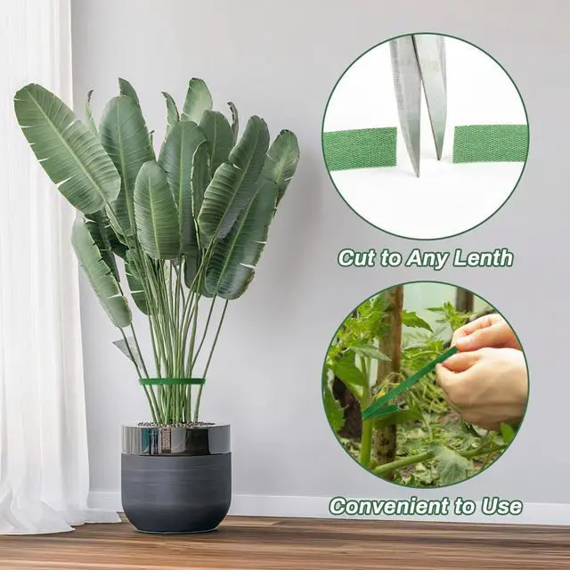 Alt view image 7 of 7 - Plant Tape for Climbing Plants - 32.8Ft 1/2" Reusable Garden Tape | Adjustable Plant Ties for Outdoor Plants, Green Gardening Tapes for Tomatoes, Flowers, Branches, Tree Support
