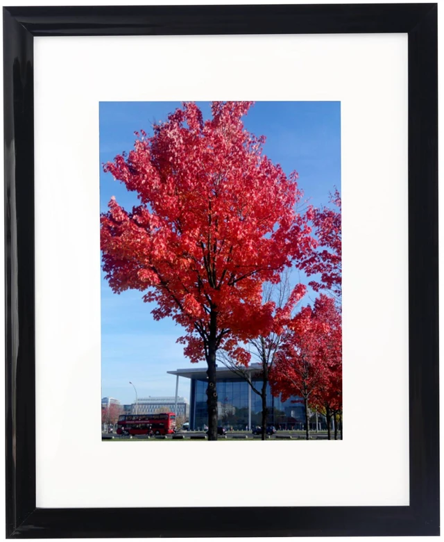 Main image of 8x12 Picture Frame, Easy Hand Certificate Poster Photo Frame, Black