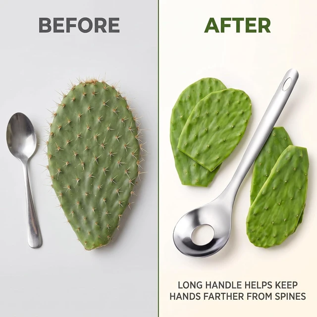 Alt view image 7 of 7 - 2Pcs Cactus Peeler Spoon, Stainless Steel Rice Meat Dumplings Spoon Squeezing Meatball Artifact Kitchen Tools, Peelers, Graters, Peelers and Slicers