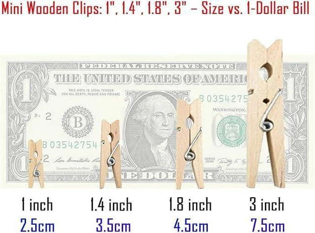 Alt view image 4 of 6 - 50PCS Wooden Clothespins 1in (2.5cm), Natural Wood for Crafts and Laundry | Wooden clothespins with spring clips for hanging photos, crafts, notes, lightweight laundry and everyday organizing.