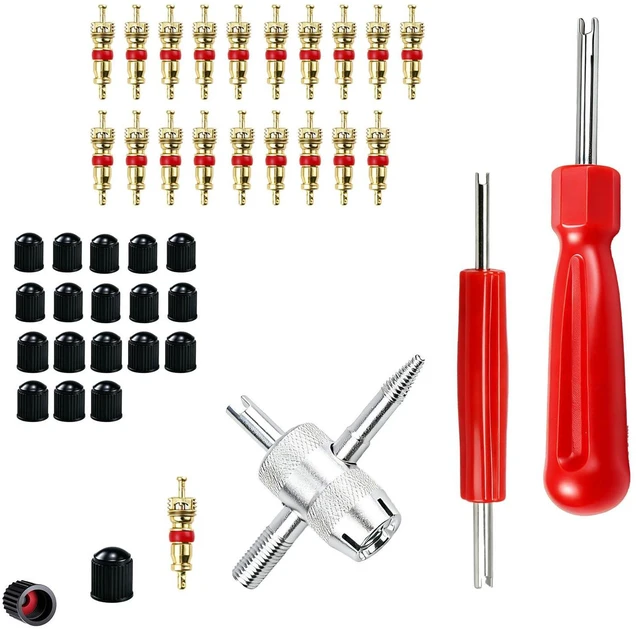 Main image of Micsci Valve Stem Removal Tool, 20 PCS Valve Cores, 20 PCS Tire Valves Caps, 1 PCS 4-Way Valves Tool, Valve Core Remover Tool with Storage Box Universal for Cars/Motocycle/Bike