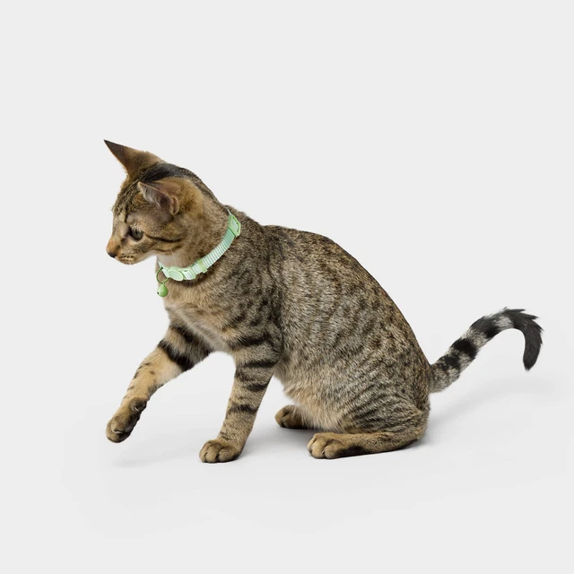 Alt view image 3 of 7 - Buckle Cat Collar - Boots & Barkley One Size Fits Most