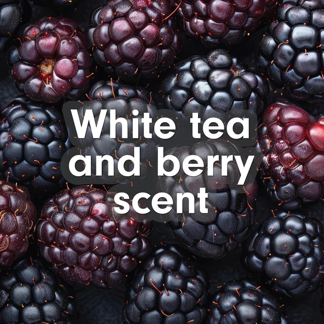 Alt view image 6 of 6 - Softsoap Antibacterial Hand Soap Refill 50fl oz, White Tea & Berry Scent