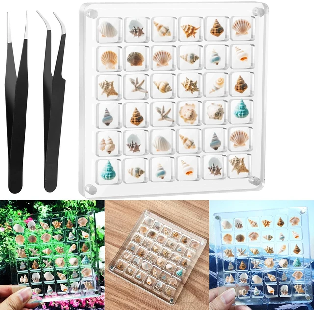 Main image of Vodolo Acrylic Magnetic Seashell Display Box,Clear Sea Shell Holder Display Box,Beach Shelling Collecting Tools,Magnet Storage Organizer Tiny Case for Seashell Diamond Beads (1 Pack-36 Grids)