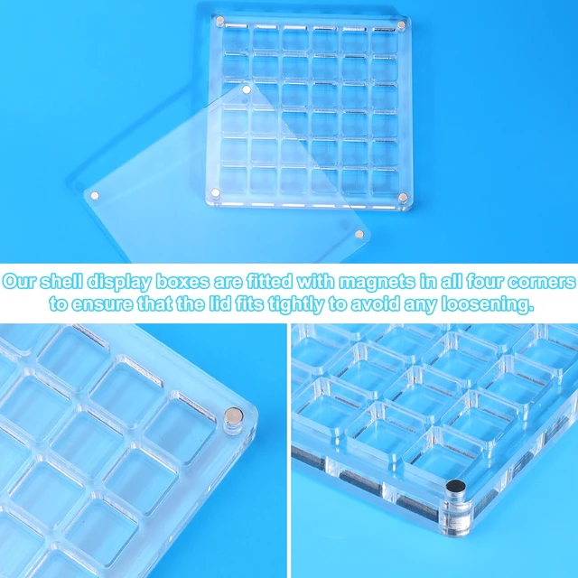Alt view image 6 of 7 - Vodolo Acrylic Magnetic Seashell Display Box,Clear Sea Shell Holder Display Box,Beach Shelling Collecting Tools,Magnet Storage Organizer Tiny Case for Seashell Diamond Beads (1 Pack-36 Grids)