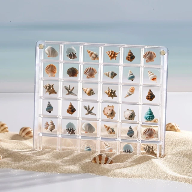 Alt view image 2 of 7 - Vodolo Acrylic Magnetic Seashell Display Box,Clear Sea Shell Holder Display Box,Beach Shelling Collecting Tools,Magnet Storage Organizer Tiny Case for Seashell Diamond Beads (1 Pack-36 Grids)