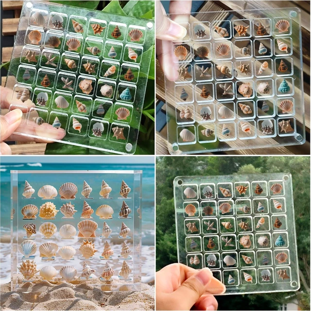 Alt view image 4 of 7 - Vodolo Acrylic Magnetic Seashell Display Box,Clear Sea Shell Holder Display Box,Beach Shelling Collecting Tools,Magnet Storage Organizer Tiny Case for Seashell Diamond Beads (1 Pack-36 Grids)