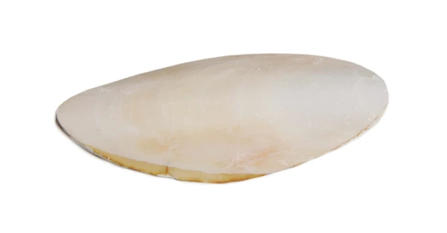 Alt view image 2 of 2 - Prevue Pet Products Bpv1143 5-Inch Bird Cuttlebone, Medium