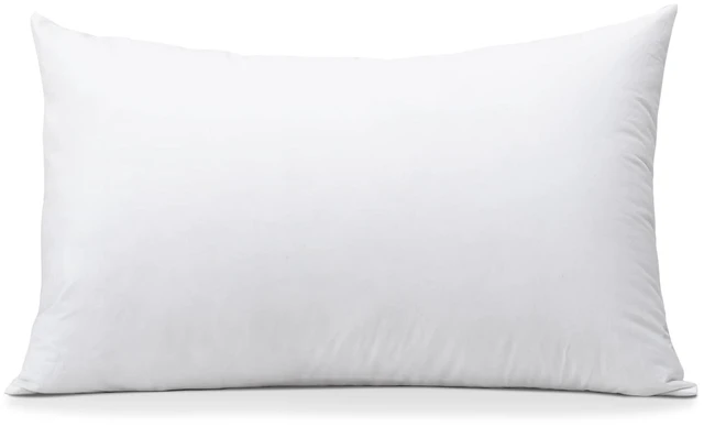 Main image of OTOSTAR Throw Pillow Insert, 12 x 20 Cushion Inner Soft Fluffy Plump Stuffer Cushion Pad White Decorative Pillow Insert