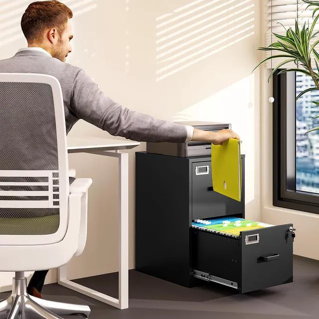 Alt view image 2 of 7 - 2 Drawer File Cabinet with Lock Vertical Filing Storage Cabinet Office Home Steel Vertical File Cabinets for Letter Size File Cabinet Locked,Assembly Required