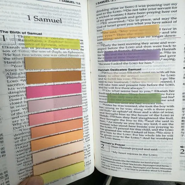 Alt view image 6 of 7 - 6000pcs Books Tabs for Annotating Page Tabs Morandi Sticky Index Tabs Transparent Sticky Notes,Label Stickers,Index Tabs for Reading Notes, Classify File, Writable Repositionable,Bible Study