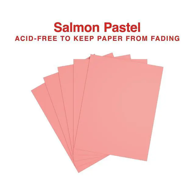 Alt view image 4 of 5 - Pastel Colored Copy Paper 8 1/2-Inch X 11-Inch Salmon 500/Ream, For Office, School & Home Colored multipurpose paper for office, school & home printing and projects