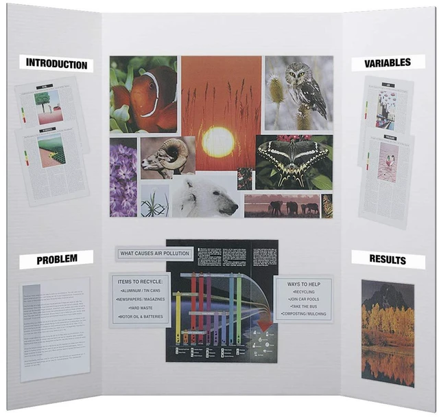 Alt view image 2 of 7 - 36 x 48 Project Boards for Presentations, Science Fair, School Projects, Event Displays and Trifold Picture Board, Proudly Made in USA - Clay White - 10 Pack