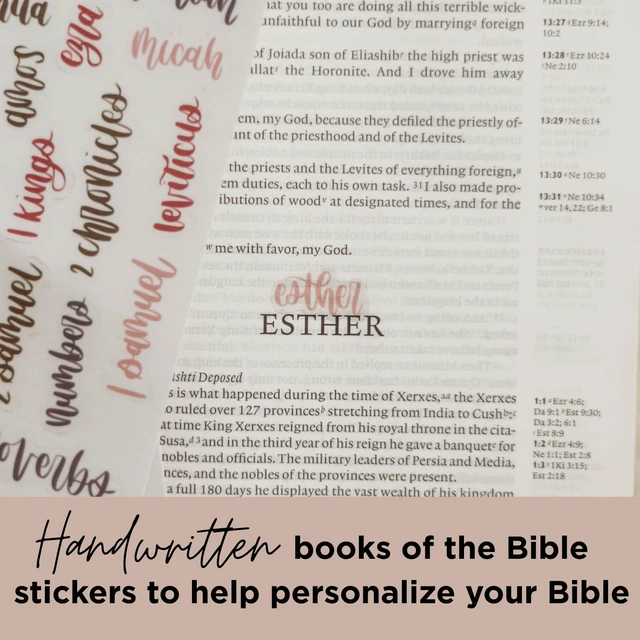 Alt view image 5 of 7 - Esther Bible Journaling Kit, Loaded Bible journaling Supplies, Highlighters, Pens, Vellum Bible Tabs, Sticky Notes, Sticker Sheets, Fineliner, Paperclips & Bible Study Guide