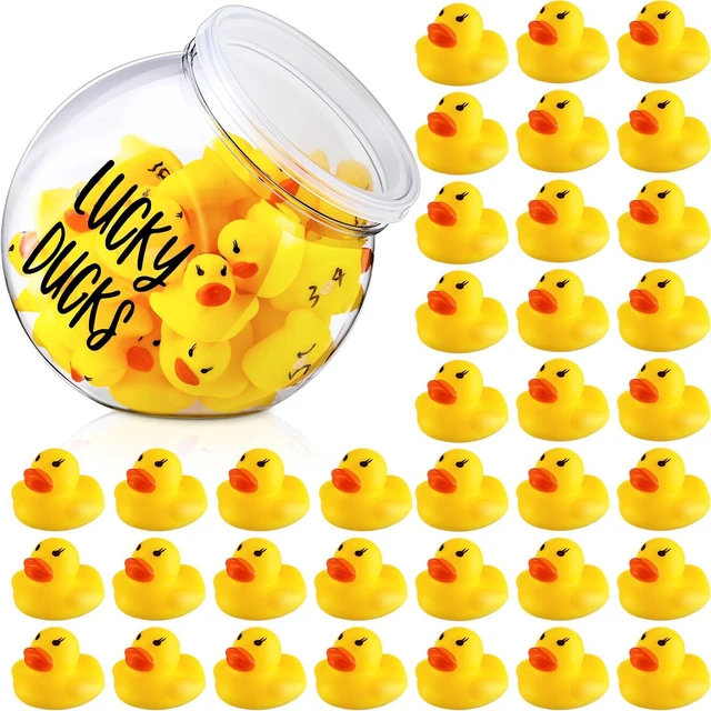 Main image of 36 Pcs Lucky Ducks Mini Classroom Jar Set,Style 1,Yellow Classroom Management Reward Tool for Teachers, Rubber Duck Bulk Set with Storage Jar, Mini Party Favors Game Prizes