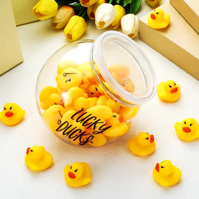 Alt view image 6 of 6 - 36 Pcs Lucky Ducks Mini Classroom Jar Set,Style 1,Yellow Classroom Management Reward Tool for Teachers, Rubber Duck Bulk Set with Storage Jar, Mini Party Favors Game Prizes