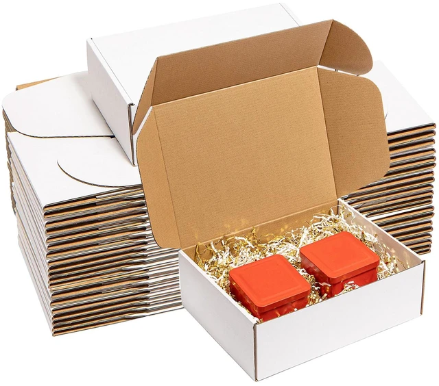 Main image of Shipping Boxes 12x9x4" 25 Pack White Corrugated Cardboard Mailer Literature Mailer Packaging Supplies Mailing Boxes for Small Business