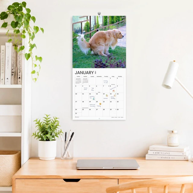 Alt view image 2 of 7 - Funny White Elephant Gag Gift Calendar, Pooping Pooches Calendar 2027 for Wall 12x12 Inches with 12 Months from January 2027 to December 2027, Thick Glossy Paper, 12" x 24" (Open), Funny Dog