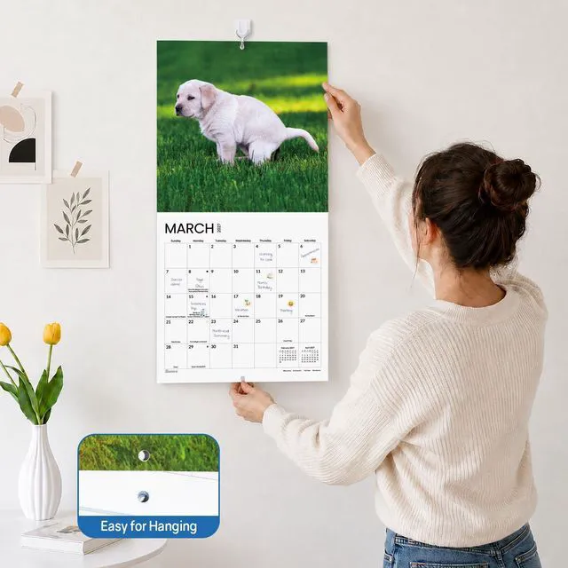 Alt view image 4 of 7 - Funny White Elephant Gag Gift Calendar, Pooping Pooches Calendar 2027 for Wall 12x12 Inches with 12 Months from January 2027 to December 2027, Thick Glossy Paper, 12" x 24" (Open), Funny Dog