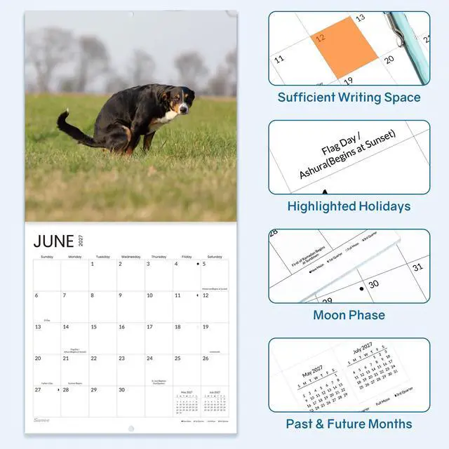 Alt view image 7 of 7 - Funny White Elephant Gag Gift Calendar, Pooping Pooches Calendar 2027 for Wall 12x12 Inches with 12 Months from January 2027 to December 2027, Thick Glossy Paper, 12" x 24" (Open), Funny Dog