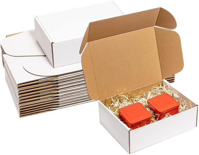 Main image of Shipping Boxes 12x9x4 Inches 20 Pack Corrugated Cardboard Mailing Boxes for Small Business - Medium White Literature Mailer Packaging Supplies