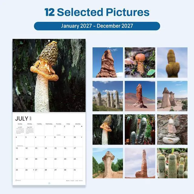 Alt view image 5 of 7 - Funny Calendar 2027 for White Elephant Gift, Large Wall calendar 12x12 Inches with 12 Months from January 2027 to December 2027, Thick Glossy Paper, 12" x 24" (Open)