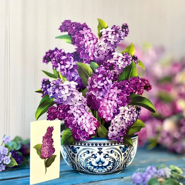 Alt view image 6 of 7 - Garden Lilacs 14" Life-Sized 3D Pop Up Card Includes Greeting Card and Envelope Note Card for Birthday, Mother's Day & More, Gifts for Mom & Her