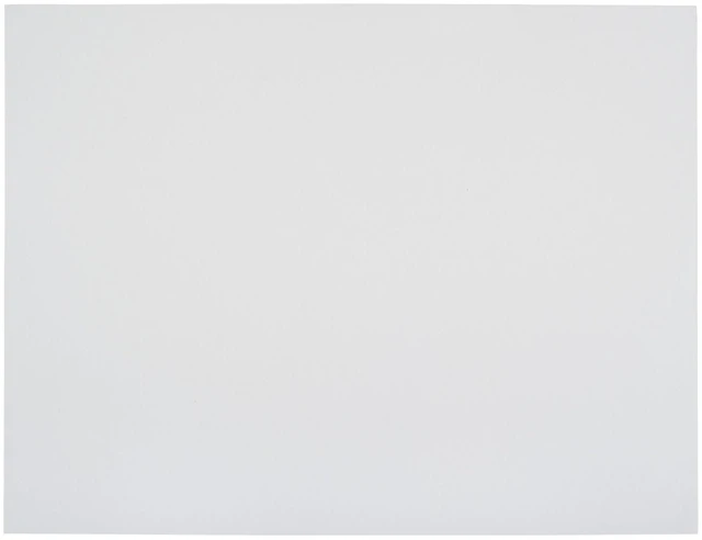 Main image of Railroad Poster Board Paper, 22 x 28 Inches, 4-Ply, White, Pack of 25