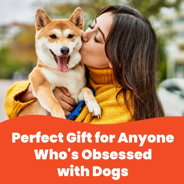 Alt view image 2 of 6 - Funny Dog Mom & Lover Gift Pen Set, 2 Pack of 5-Pen Sets with Black Ink Smooth Writing, Stylus Tip, Metal Barrels, Hilarious Doggy Quotes, Gift for Women, Mother's Day, Birthday