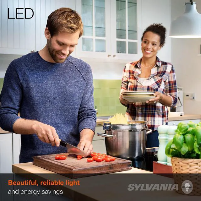 Alt view image 2 of 6 - Sylvania ECO LED A19 Light Bulb, 60W Equivalent, Efficient 9W, 7 Year, 750 Lumens, Non-Dimmable, Frosted, 5000K Daylight - 24 Count (40987) (Pack of 2)