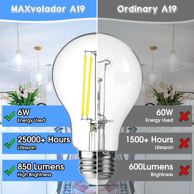 Alt view image 5 of 7 - 60W Equivalent E26 LED Filament Light Bulbs, 850LM Daylight White 5000K Efficient 6W A19 Edison Bulb, Non-Dimmable Medium Base, 24-Pack