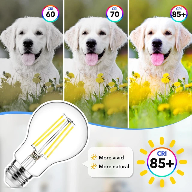 Alt view image 7 of 7 - 60W Equivalent E26 LED Filament Light Bulbs, 850LM Daylight White 5000K Efficient 6W A19 Edison Bulb, Non-Dimmable Medium Base, 24-Pack
