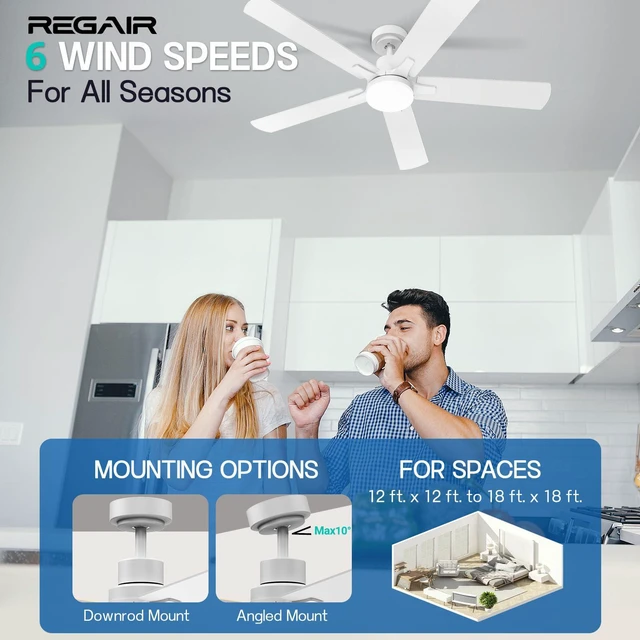 Alt view image 4 of 7 - Ceiling Fan With Light 52-Inch, Remote Control Reversible DC Motors, 3CCT Dimmable Timer Noiseless, Nickel Ceiling Fan for Bedroom Living Room, Indoor&Outdoor ETL Listed