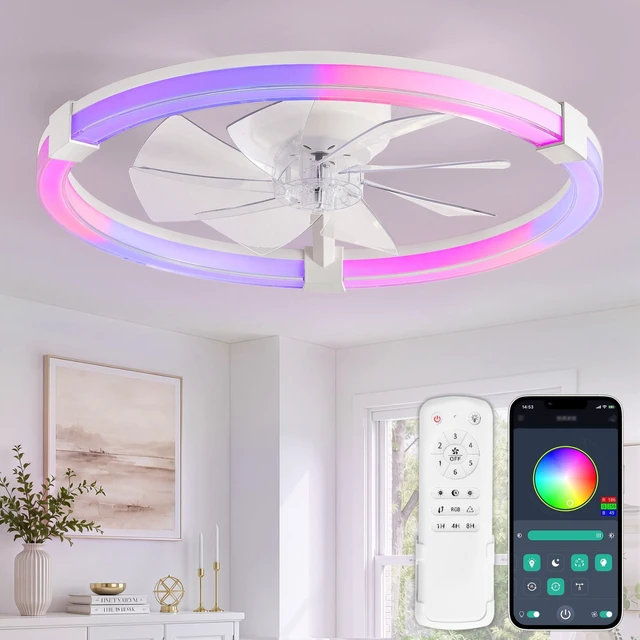 Main image of Ceiling Fan with Light,23inch Low Profile Fandelier with Remote RGB RGB,6 Speeds, Reversible DC Motor, Dimmable Flush Mount Fan Light, Modern fans for Bedroom