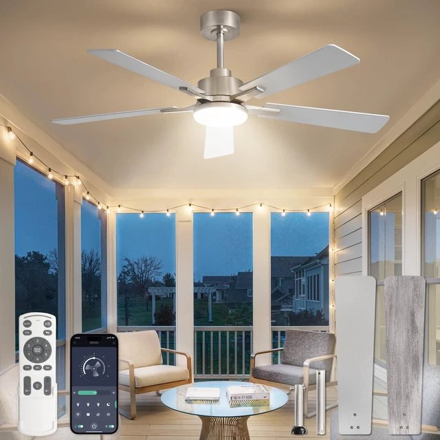 Main image of 52 Inch Ceiling Fans with Lights DC Motor, Remote & APP Control Dimmable, 3CCT, 6 Speed, Memory Function, Timer, Dual-Sided Reversible Blade, Flat/Sloped Ceiling, Living Room, Covered Patio