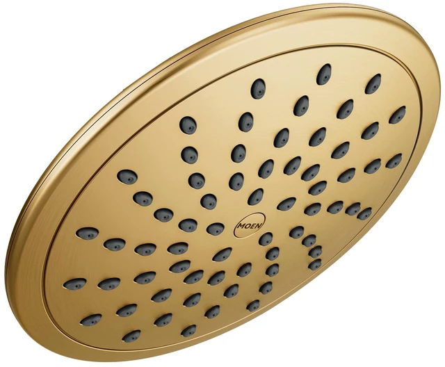 Main image of Brushed Gold Cia Fixed Round Rain Shower Showerhead, 8-Inch, 6345BG