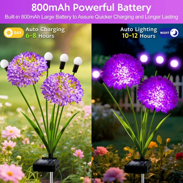 Alt view image 3 of 7 - Solar Garden Lights, 8 Pack Solar Purple Swaying Firefly Lights with Flowers, Waterproof Purple Halloween Flowers Light Outdoor for Garden Patio Yard Fall Decoration, Gifts for Women Mother's Day