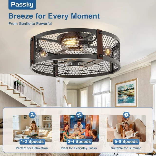 Alt view image 5 of 7 - 20" Caged Ceiling Fans with Lights and Remote, Low Profile Fandelier Reversible DC Motor, 1/2/4H Timer, 6 Speeds, Farmhouse Style, Quiet Operation, for Bedroom, Kitchen, Dining Room, Living Room