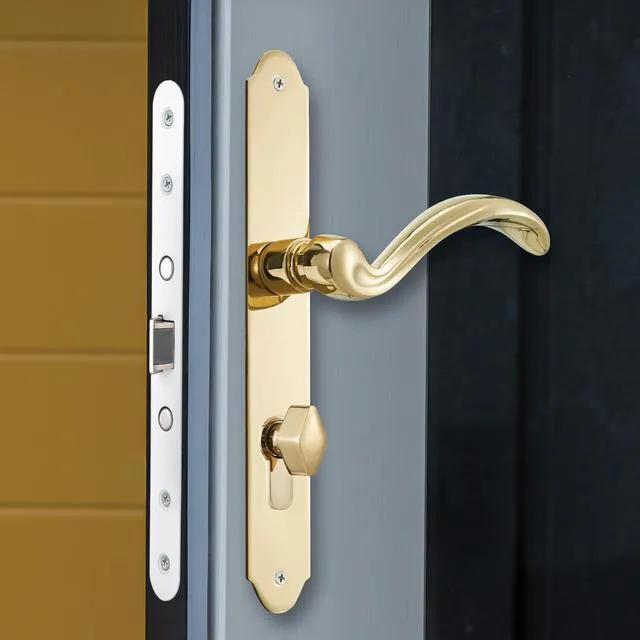 Alt view image 5 of 7 - Storm Door Handle Accessory Set fit Pella Storm Door Handle Replacement Part, with Key and Lock Cylinder, Mortise Lock Not Included (Polished Gold)