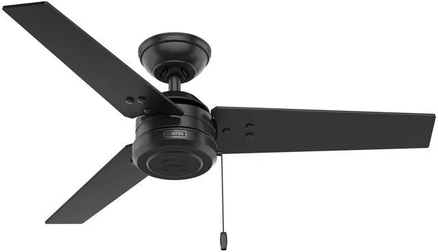Main image of Cassius, Outdoor or Indoor, Ceiling Fan, 44 inch, Matte Black No Light, Standard Mount, Pull Chain, 3 Blades, For Living Room, Patio, Porch, Garage, 50260