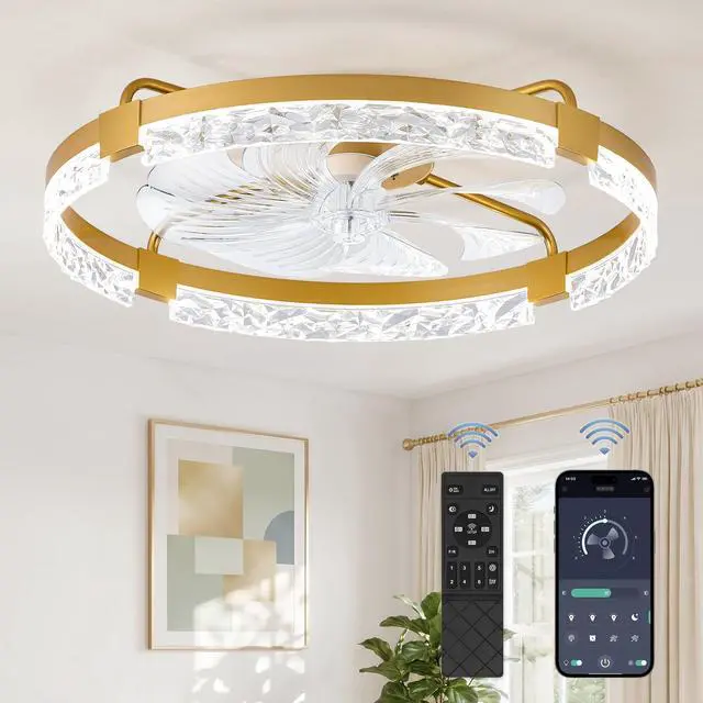Main image of 24 Inch Ceiling Fans with Lights, Flush Mount Remote & App Control 3CCT Dimmable LED, DC Motor, Bladeless, Reversible Blade, 6 Speeds, Modern, Low Profile, Enclosed, Bedroom, Kids, Girl, Adult