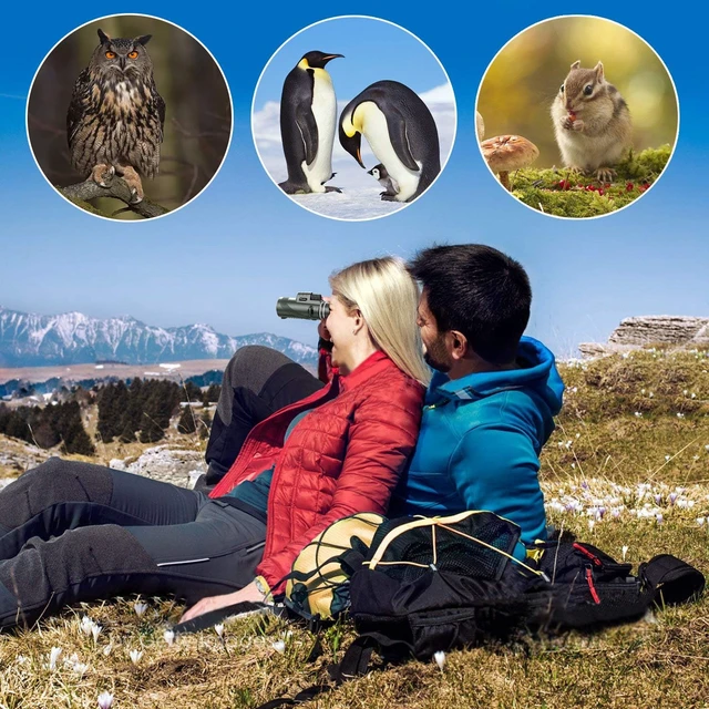 Alt view image 7 of 7 - 40X60 Monocular Telescope, High Power Monocular for Adults with Phone Adapter & Tripod & Hand Strap, Equipped with BAK4 Prism for Bird Watching