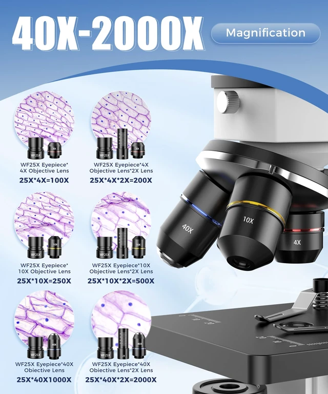 Alt view image 5 of 7 - Compound Microscope for Adults & Students, White 100X-2000X High-Power, Biological Microscope, School Lab & Home Education, with Slides Set & Phone Adapter