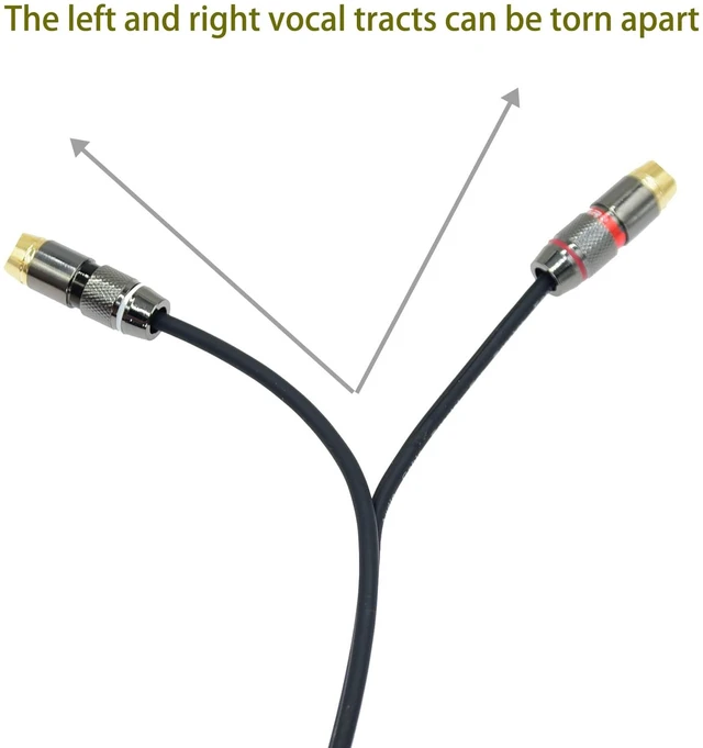 Alt view image 2 of 2 - 1ft XLR female to 2 RCA female Plug Y Splitter XLR 3 Pin to Dual RCA Stereo patch audio Cable Phono Interconnect Duplicator Lead Adapter Connector Sound card eq Microphone Cord 2 x Unbalanced(1 pack)
