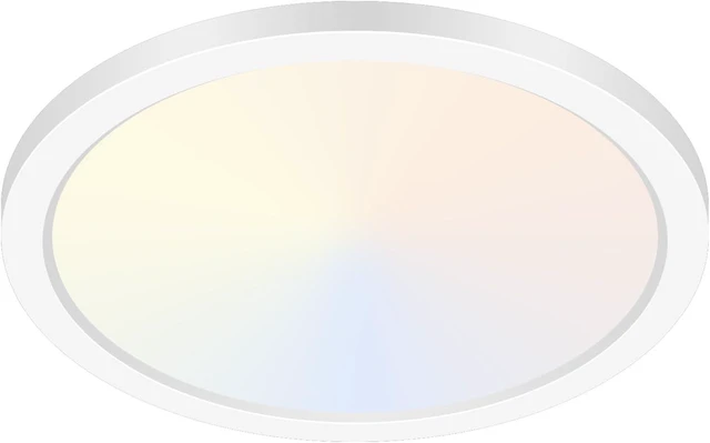 Main image of hepside 12Inch Flush Mount Ceiling Light,5 Color Temperature Light Fixture