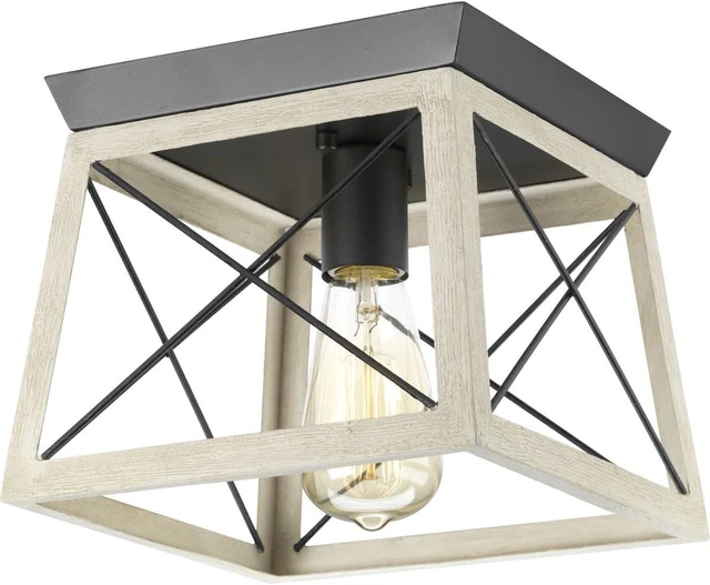 Main image of Progress Lighting Briarwood 9.5" 1-Light Flush Mount Light, Graphite