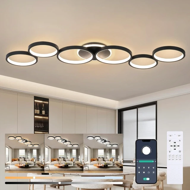 Main image of LED Ceiling Light Dimmable Living Room Ceiling Lamp Black Living Room Lamps