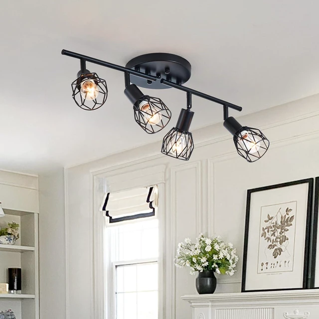 Main image of Track Lighting Kit, 4-Light Adjustable Multi-Directional Ceiling Light Fixtures, Vintage Black Metal Wire Cage Farmhouse Light Fixtures Ceiling Mount for Kitchen Dining Table Hallway Bathroom Bedroom