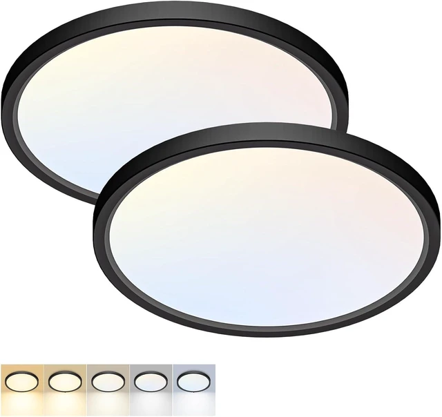 Main image of 2Pack 12Inch LED Flush Mount Ceiling Light 5 Color Temperatures